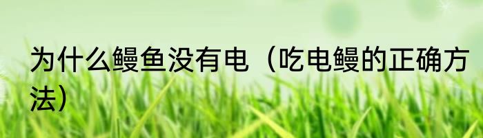 为什么鳗鱼没有电（吃电鳗的正确方法）