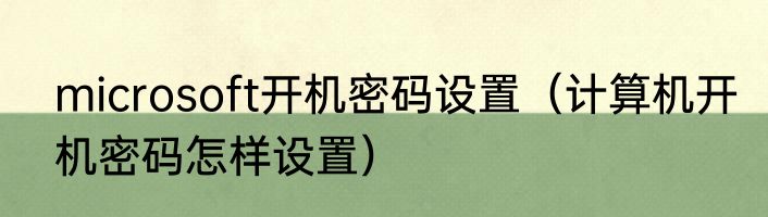 microsoft开机密码设置（计算机开机密码怎样设置）