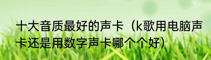 十大音质最好的声卡（k歌用电脑声卡还是用数字声卡哪个个好）