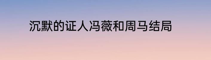 沉默的证人冯薇和周马结局