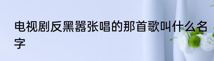 电视剧反黑嚣张唱的那首歌叫什么名字