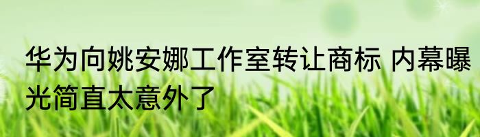 华为向姚安娜工作室转让商标 内幕曝光简直太意外了