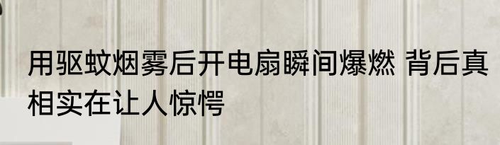 用驱蚊烟雾后开电扇瞬间爆燃 背后真相实在让人惊愕