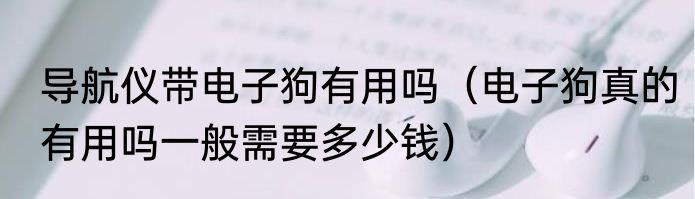 导航仪带电子狗有用吗（电子狗真的有用吗一般需要多少钱）