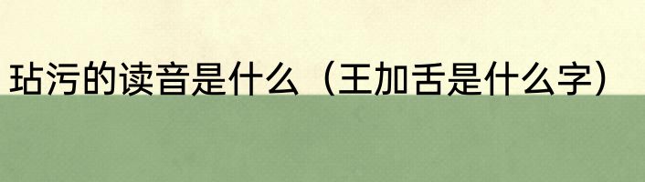 范依岚个人资料简介