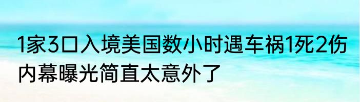 1家3口入境美国数小时遇车祸1死2伤 内幕曝光简直太意外了
