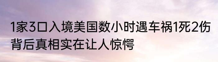 1家3口入境美国数小时遇车祸1死2伤 背后真相实在让人惊愕