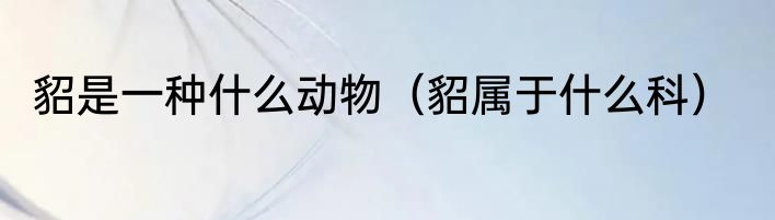 貂是一种什么动物（貂属于什么科）