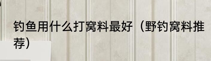 钓鱼用什么打窝料最好（野钓窝料推荐）