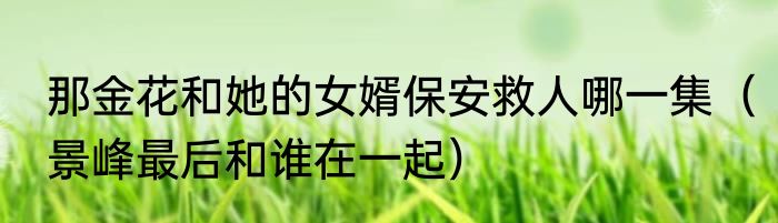 那金花和她的女婿保安救人哪一集（景峰最后和谁在一起）