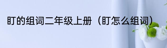 盯的组词二年级上册（盯怎么组词）