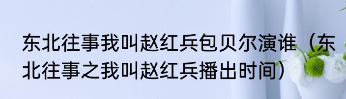 东北往事我叫赵红兵包贝尔演谁（东北往事之我叫赵红兵播出时间）