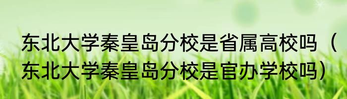 东北大学秦皇岛分校是省属高校吗（东北大学秦皇岛分校是官办学校吗）