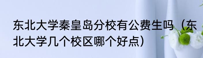 东北大学秦皇岛分校有公费生吗（东北大学几个校区哪个好点）