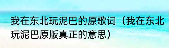 我在东北玩泥巴的原歌词（我在东北玩泥巴原版真正的意思）