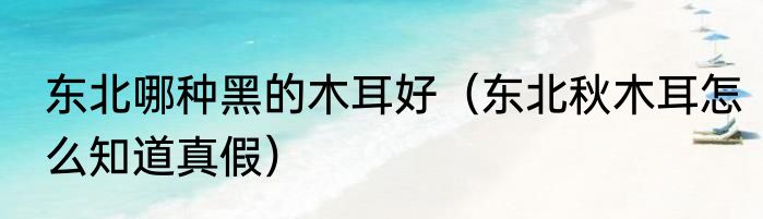 东北哪种黑的木耳好（东北秋木耳怎么知道真假）