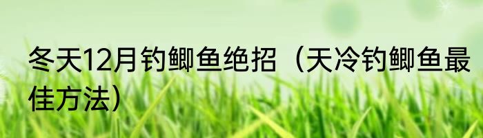 冬天12月钓鲫鱼绝招（天冷钓鲫鱼最佳方法）