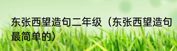 东张西望造句二年级（东张西望造句最简单的）