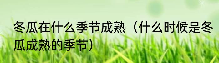 冬瓜在什么季节成熟（什么时候是冬瓜成熟的季节）