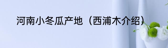 河南小冬瓜产地（西浦木介绍）