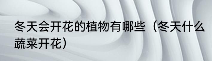 冬天会开花的植物有哪些（冬天什么蔬菜开花）
