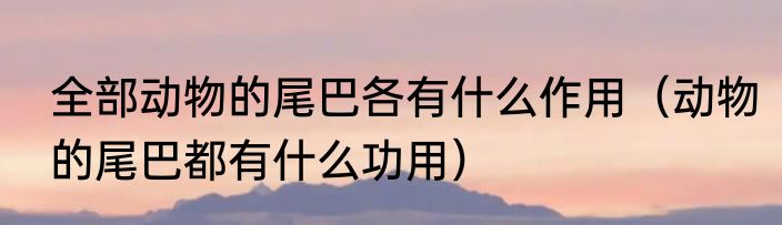 全部动物的尾巴各有什么作用（动物的尾巴都有什么功用）