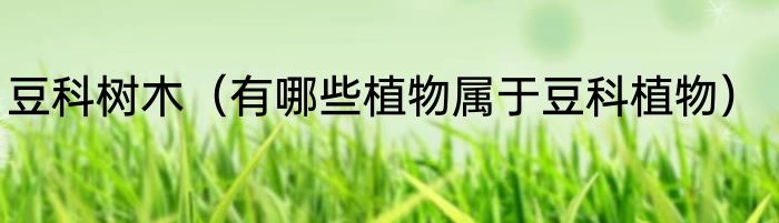 豆科树木（有哪些植物属于豆科植物）