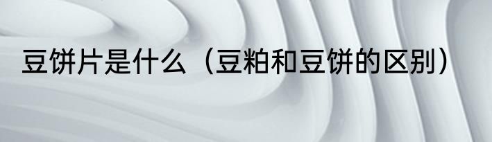 豆饼片是什么（豆粕和豆饼的区别）