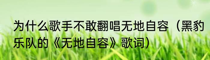 为什么歌手不敢翻唱无地自容（黑豹乐队的《无地自容》歌词）