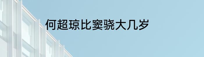何超琼比窦骁大几岁