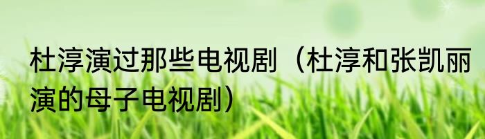 杜淳演过那些电视剧（杜淳和张凯丽演的母子电视剧）