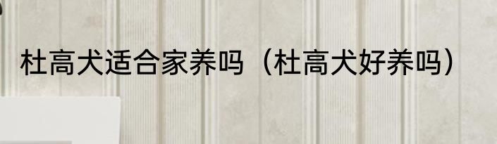杜高犬适合家养吗（杜高犬好养吗）