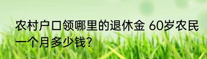 农村户口领哪里的退休金 60岁农民一个月多少钱？