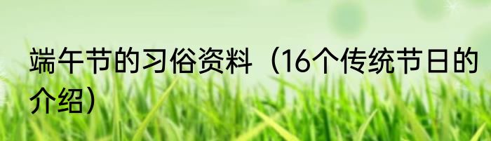 端午节的习俗资料（16个传统节日的介绍）