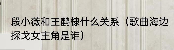 段小薇和王鹤棣什么关系（歌曲海边探戈女主角是谁）