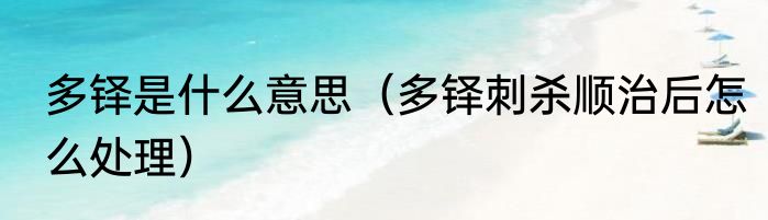 多铎是什么意思（多铎刺杀顺治后怎么处理）