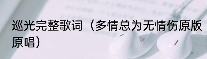 巡光完整歌词（多情总为无情伤原版原唱）