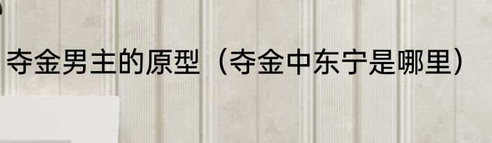 夺金男主的原型（夺金中东宁是哪里）