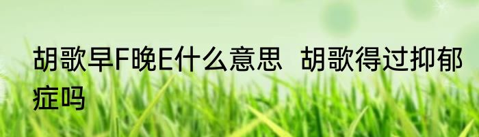 胡歌早F晚E什么意思  胡歌得过抑郁症吗