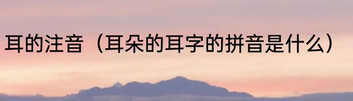 耳的注音（耳朵的耳字的拼音是什么）