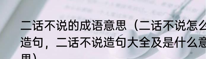 二话不说的成语意思（二话不说怎么造句，二话不说造句大全及是什么意思）