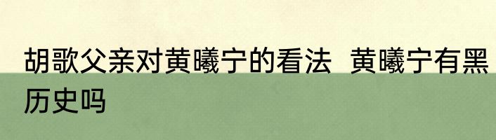 胡歌父亲对黄曦宁的看法  黄曦宁有黑历史吗