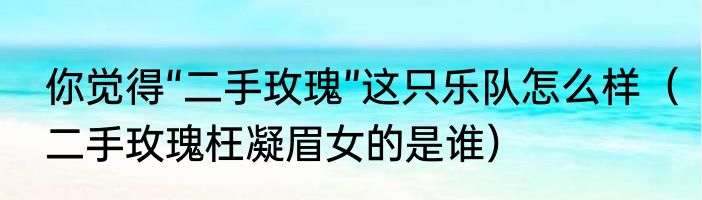 你觉得“二手玫瑰”这只乐队怎么样（二手玫瑰枉凝眉女的是谁）