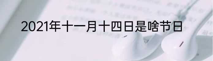 2021年十一月十四日是啥节日