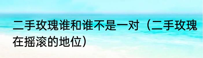 二手玫瑰谁和谁不是一对（二手玫瑰在摇滚的地位）