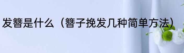 发簪是什么（簪子挽发几种简单方法）
