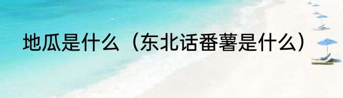 地瓜是什么（东北话番薯是什么）
