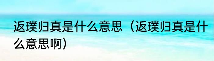 返璞归真是什么意思（返璞归真是什么意思啊）