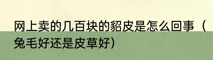网上卖的几百块的貂皮是怎么回事（兔毛好还是皮草好）