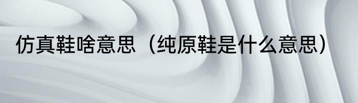 仿真鞋啥意思（纯原鞋是什么意思）